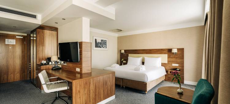 Holiday Inn 罗兹(Holiday Inn Lodz)图片