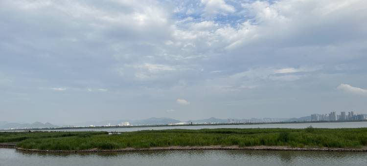 印季芦花度假村(漩门湾湿地公园店)图片