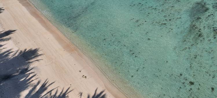 迈阿莫海滩小屋(MYAMO BEACH LODGE)图片