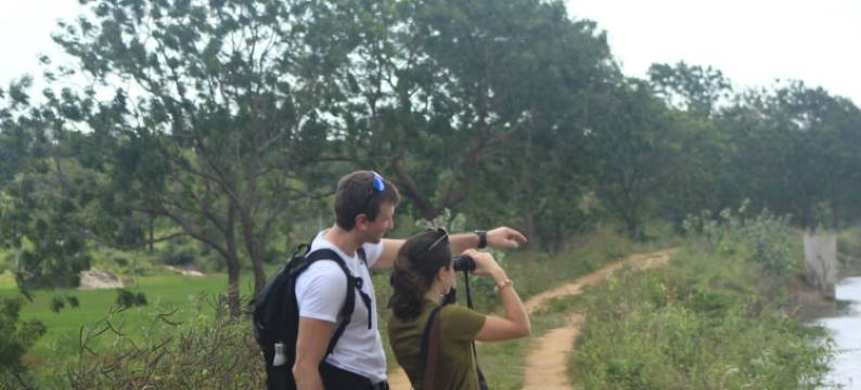 亚拉大型游戏酒店-生态团队(Big Game - Yala By Eco Team)图片