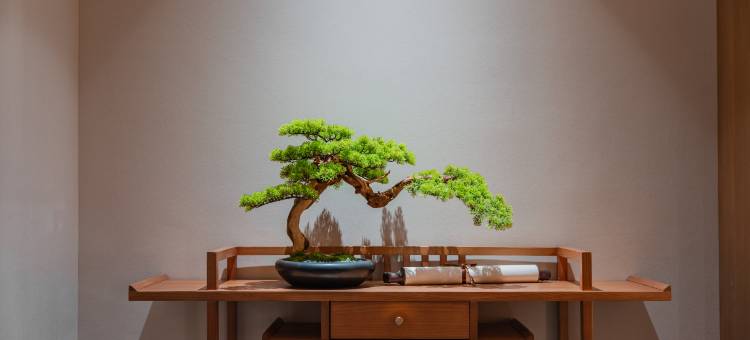 仟那千寻酒店(漯河职业技术学院神州鸟园店)图片