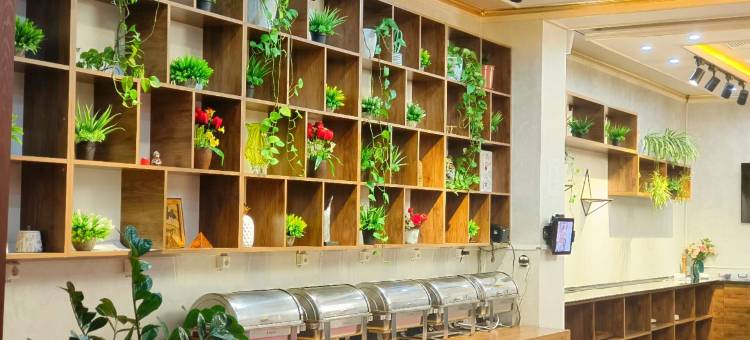 丝路酒店(塔什干火车高铁站对面华人酒店)(Aura Hotel)图片