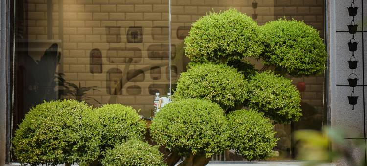 返然心舍民宿(三宝国际陶艺村店)图片