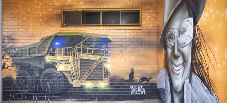 罗克斯比降水区的夜帽(Nightcap at Roxby Downs)图片