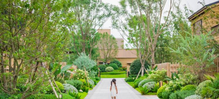 成都温江悦椿酒店图片