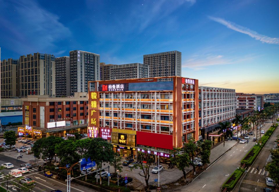 BORRMAN HOTELHotel Overview