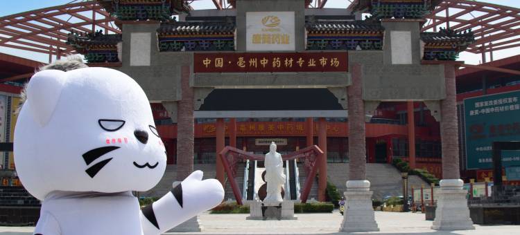 亳州富力万达嘉华酒店(高新万达广场店)图片