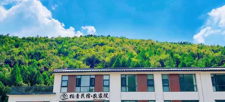 柏青民宿·农家院图片