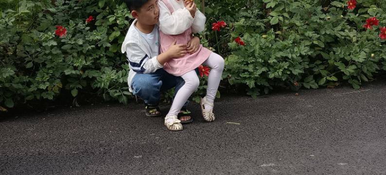 荷塘农家乐图片