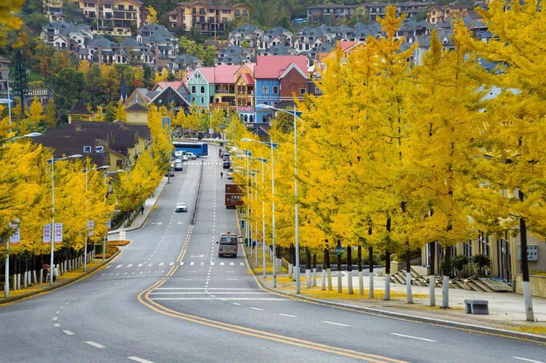 花筑·仙女山夜宴客栈(游客接待中心店)图片