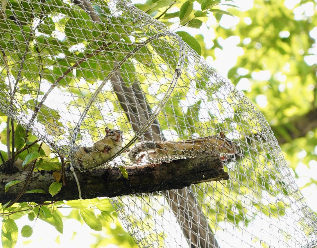 广州白云国际会议中心越秀源宿酒店图片