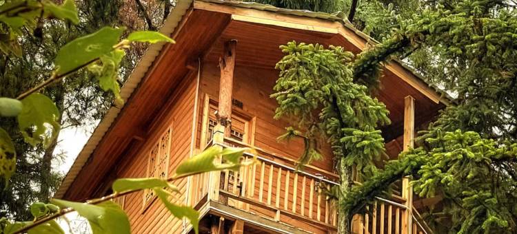 柘荣松林民宿图片