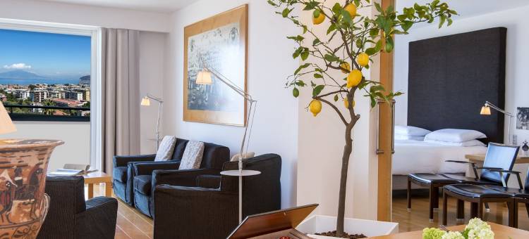 苏伦多希尔顿酒店(Hilton Sorrento Palace)图片