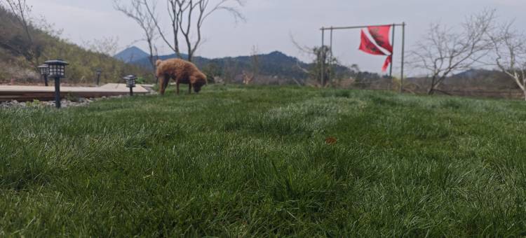 余姚四明山茶落归山民宿图片