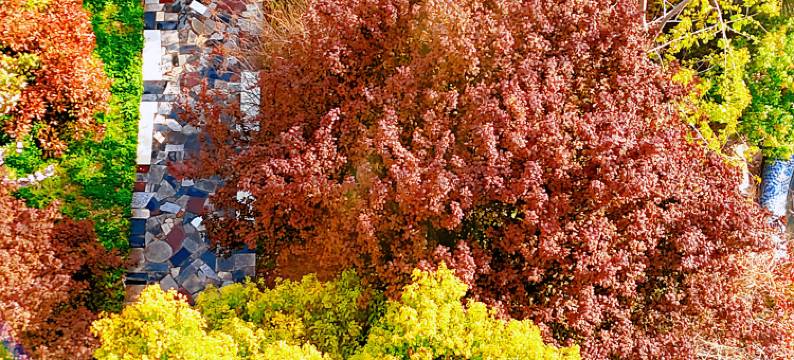 舒客花园民宿酒店(金鼎皇庄店)图片