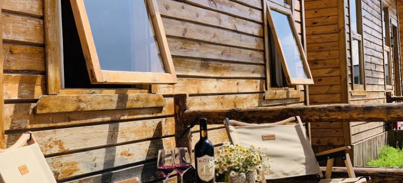 昭苏马厩里民宿·Mewsinn｜萌宠咖啡·度假院子图片