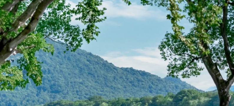 杭州•南歌｜DESIGNER•SOUTHERN•SONG酒店(杭州金沙湖地铁站店)图片