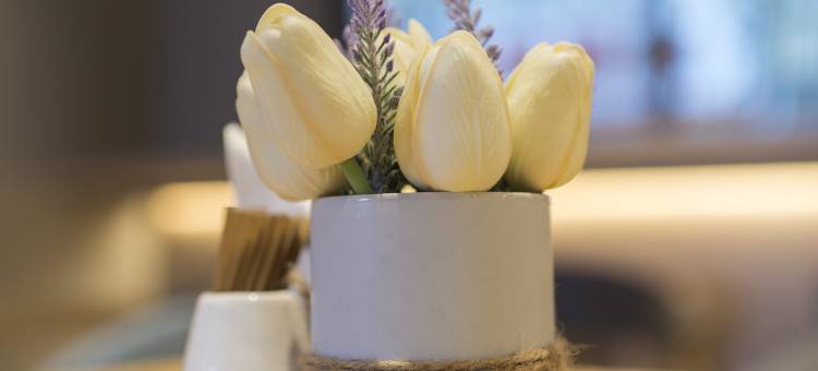 如家酒店(石家庄友谊大街合作路店)图片