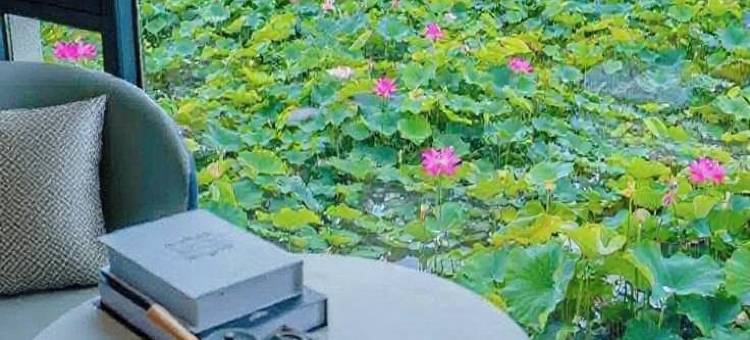 一见如故|Sol·Crepusculum荷畔美宿(普者黑风景区店)图片