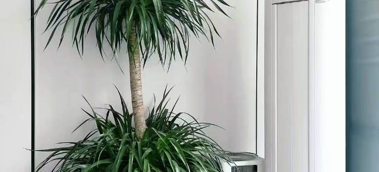 可可里电竞商务宾馆(铁岭博物馆店)图片