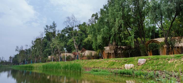 鸟语林·栖湖民宿图片