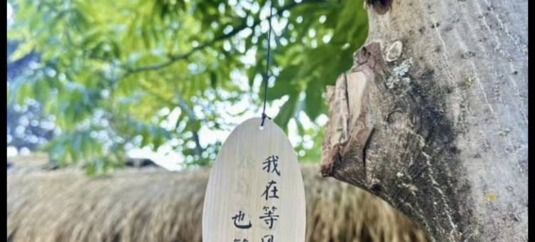 向山view homestay图片
