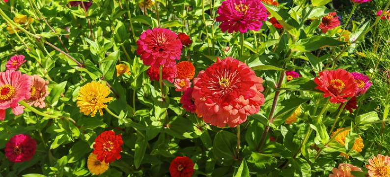 北舍小院(北极村店)图片