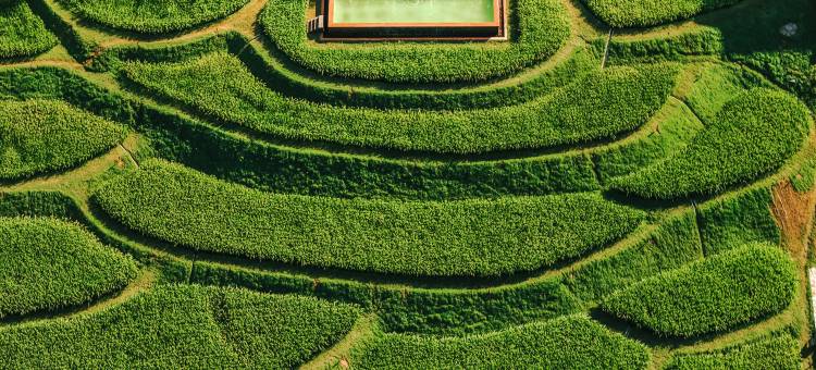 第六季度假庄园图片