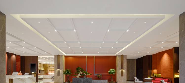 上海国际旅游度假区开元名庭酒店图片