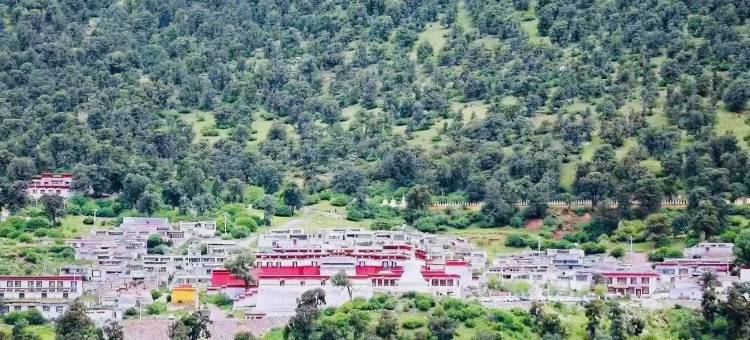 平措康桑热振文化遗产民宿图片