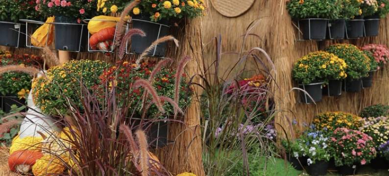 爱电竞酒店(湖北大学店)图片