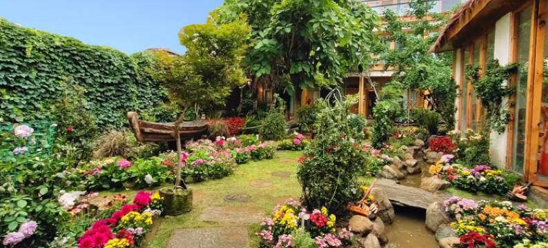 江油花影小舍民宿图片