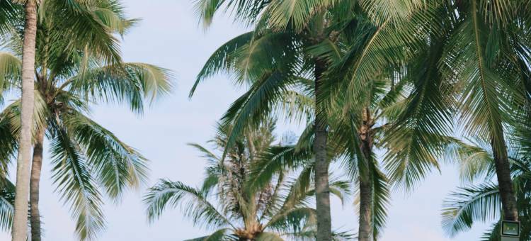 三亚亚龙湾喜来登度假酒店图片