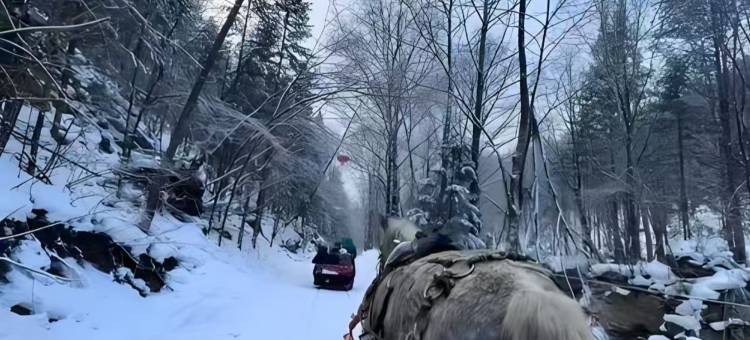 雪谷·董老三度假美宿(东升林场店)图片