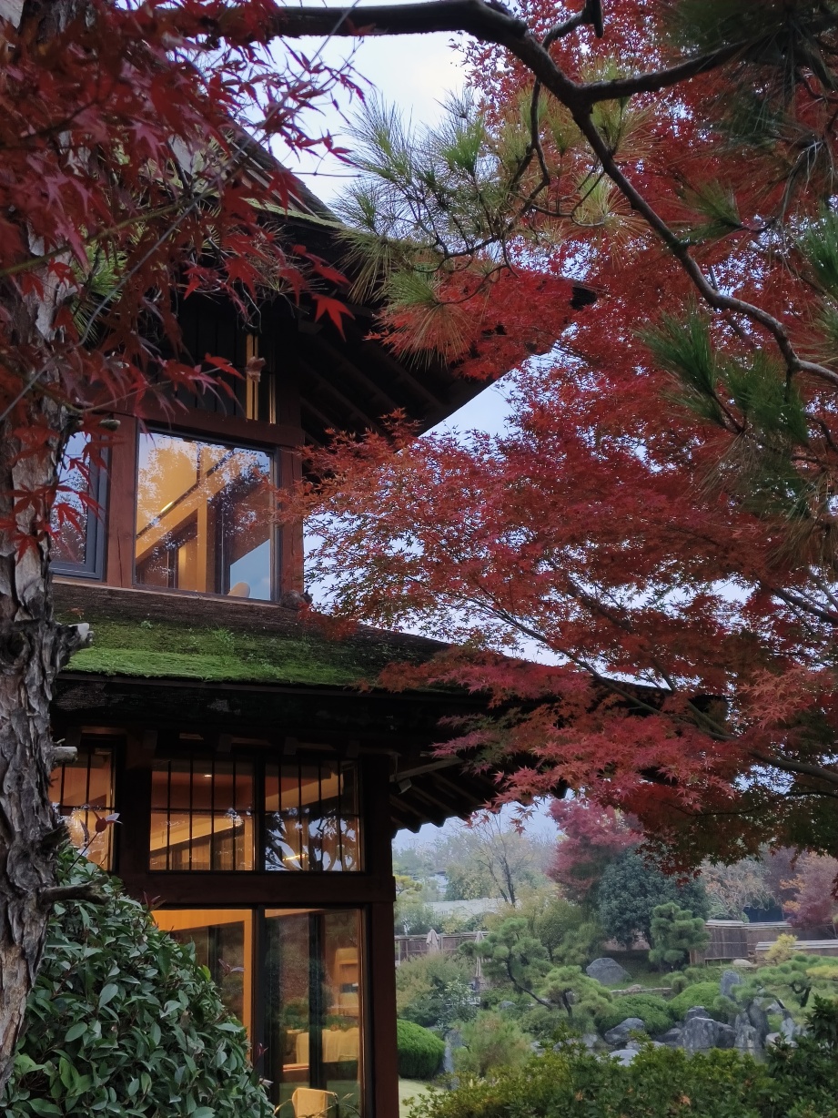 Zhongnan Jingzhuang Hot Spring Resort Hotel Overview