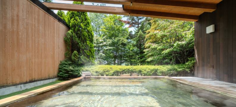 蓼科湖度假村(旧：AMBIENT蓼科酒店)(TATESHINA LAKE RESORT)图片