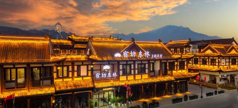 宿坊东林·民宿(庐山东林大佛店)图片