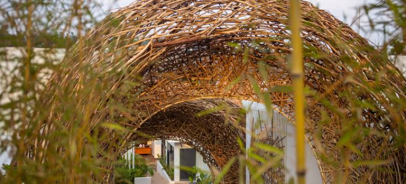 Rugando的巢穴(The Nest)图片