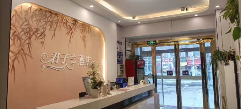 OYO郑州君子兰时尚酒店(高新郑州大学店)图片