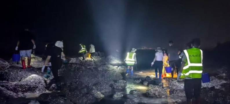 海湾度假酒店(火山岛店)图片