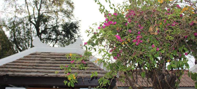 豪华酒店琅勃拉邦(Lux Hotel Luang Prabang)图片