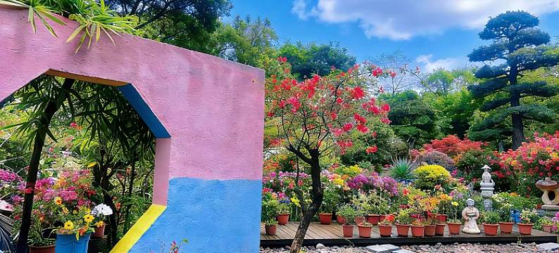 大榕树度假山庄(梧州市白云山龙母庙店)图片