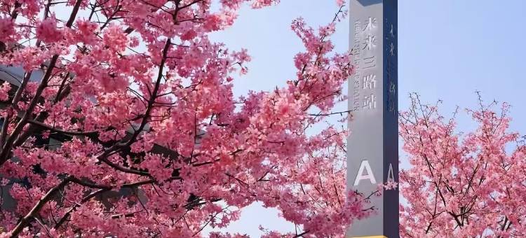 朗季酒店(武汉光谷科技会展中心大悦城店)图片