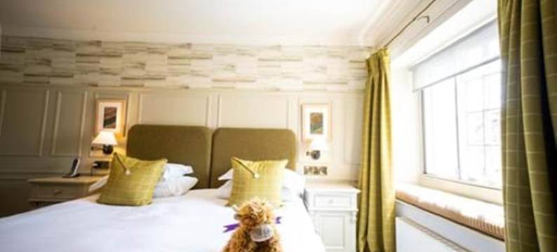 费弗舍姆阿姆斯酒店及韦伯纳水疗中心(Feversham Arms Hotel & Verbena Spa)图片