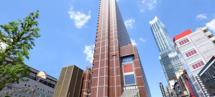 新宿王子大饭店 东京(Shinjuku Prince Hotel)图片