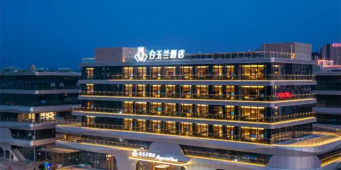 白玉蘭酒店(泰安高鐵財金時代廣場店)