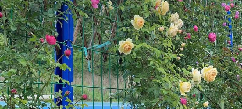 遇见黄柏塬驿站图片