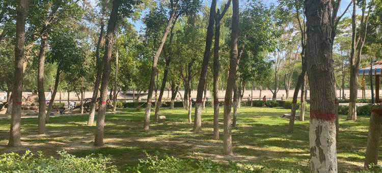 希岸·轻雅酒店(库尔勒石化大道孔雀河店)图片