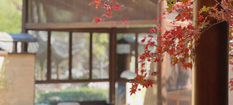 宁波沄野和光·栖霞坑度假村图片