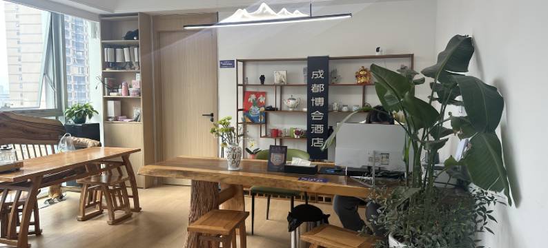 成都博会酒店(西博城大悦城店)图片